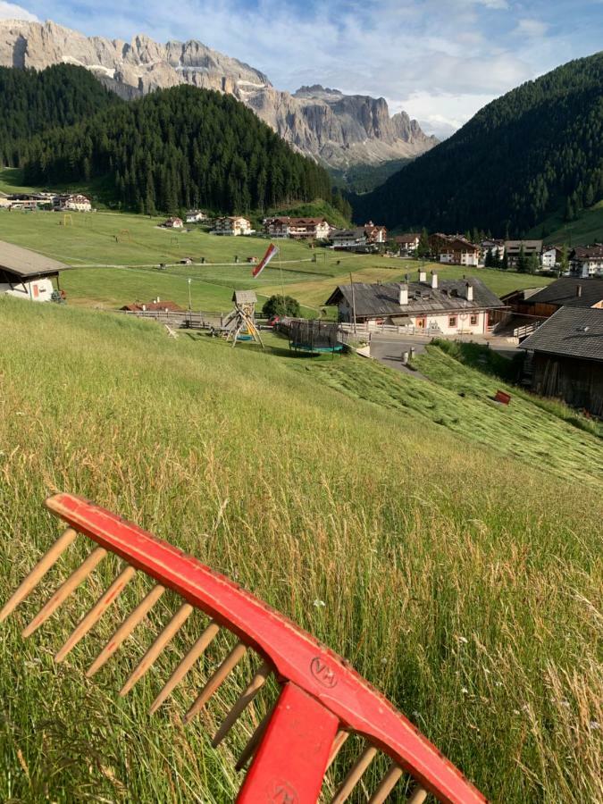 Agriturismo Maso Larciunei Selva di Val Gardena Exterior foto